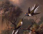 Martin Johnson Heade